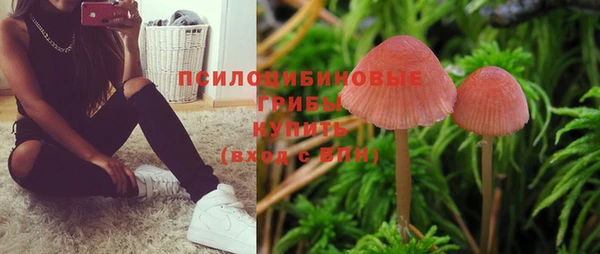 соль ск Наволоки