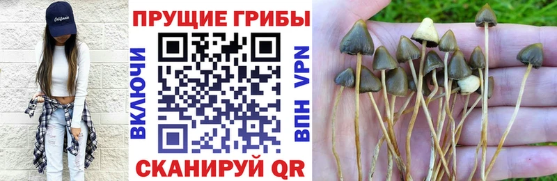 Псилоцибиновые грибы мухоморы  блэк спрут ONION  Тюмень 