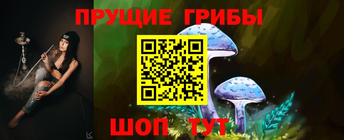 Псилоцибиновые грибы Cubensis  Вход с VPN  Россия  Галлюциногенные грибы GOLDEN TEACHER 